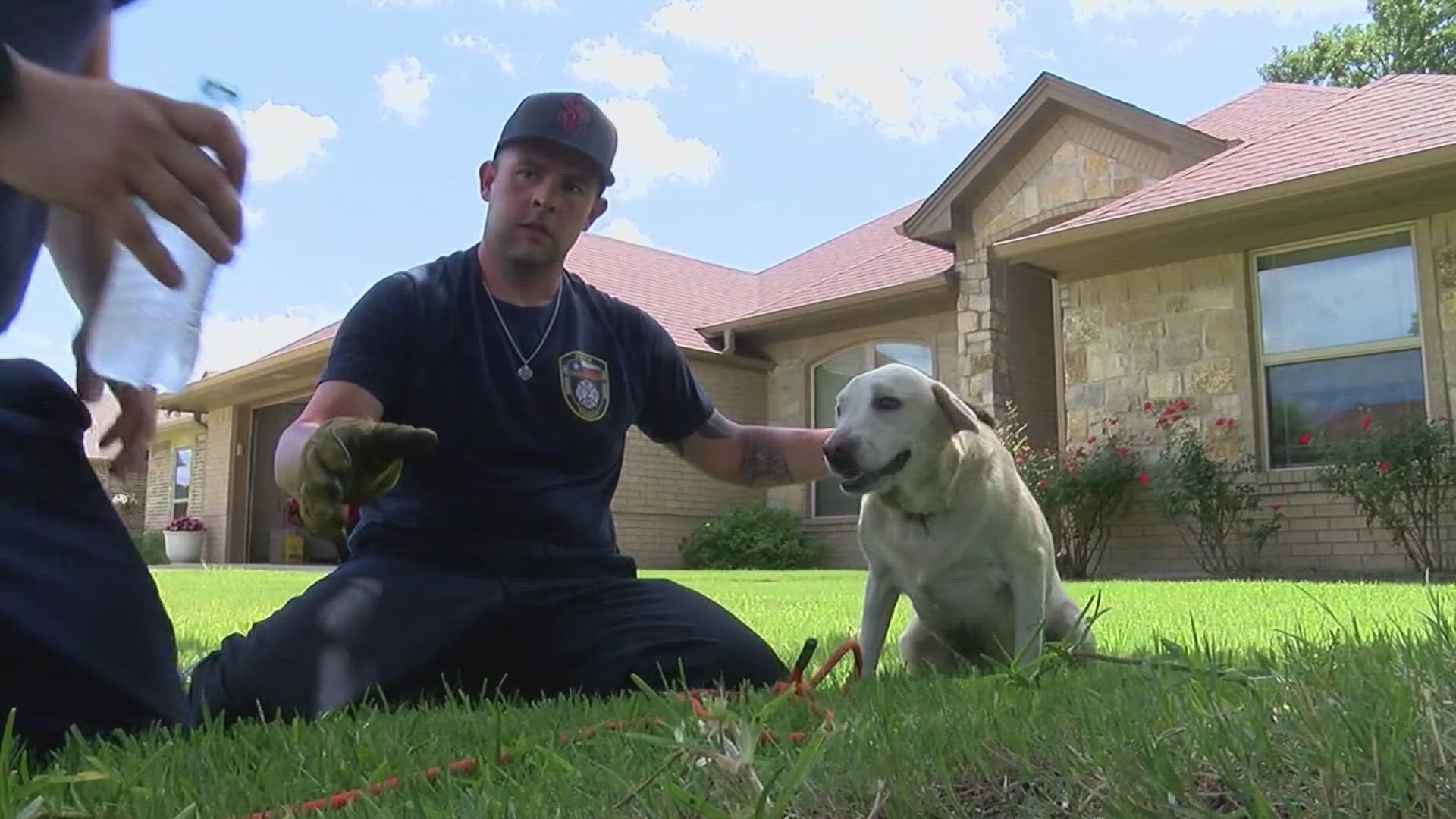 Firefighters rescue dog from storm drain | khou.com