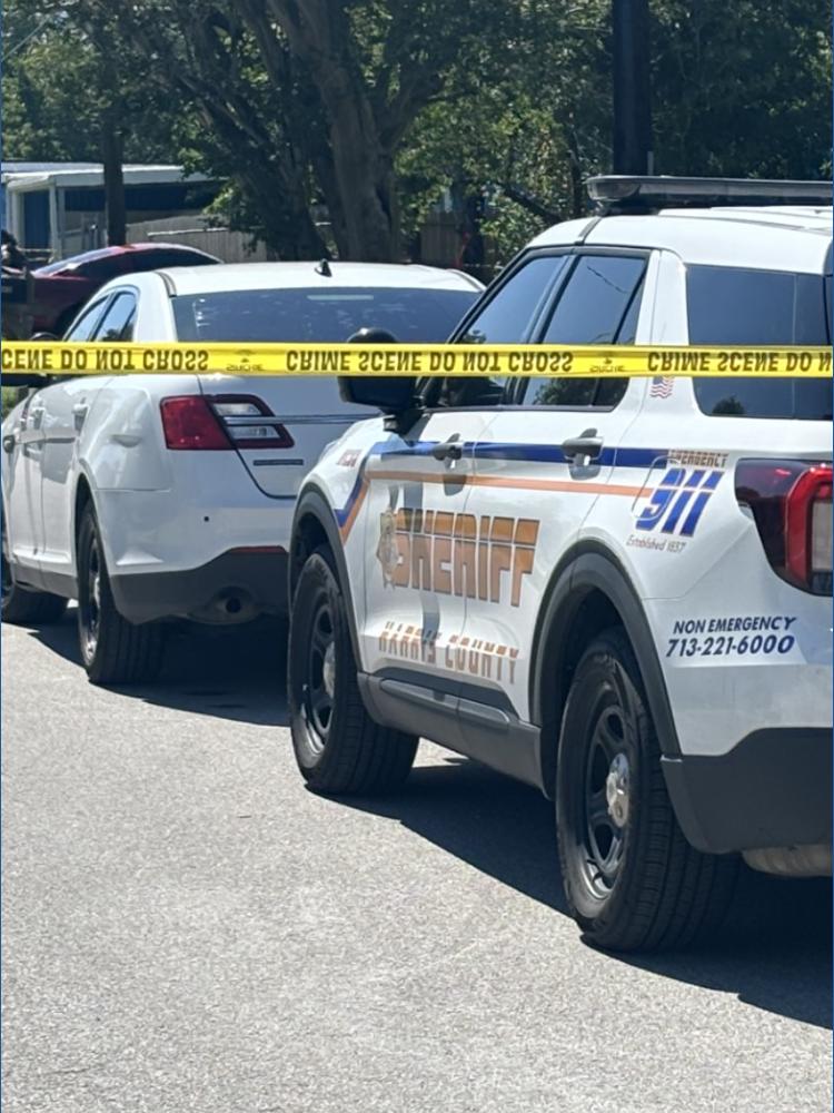 Capital murder charge filed against suspect in death of pregnant ...