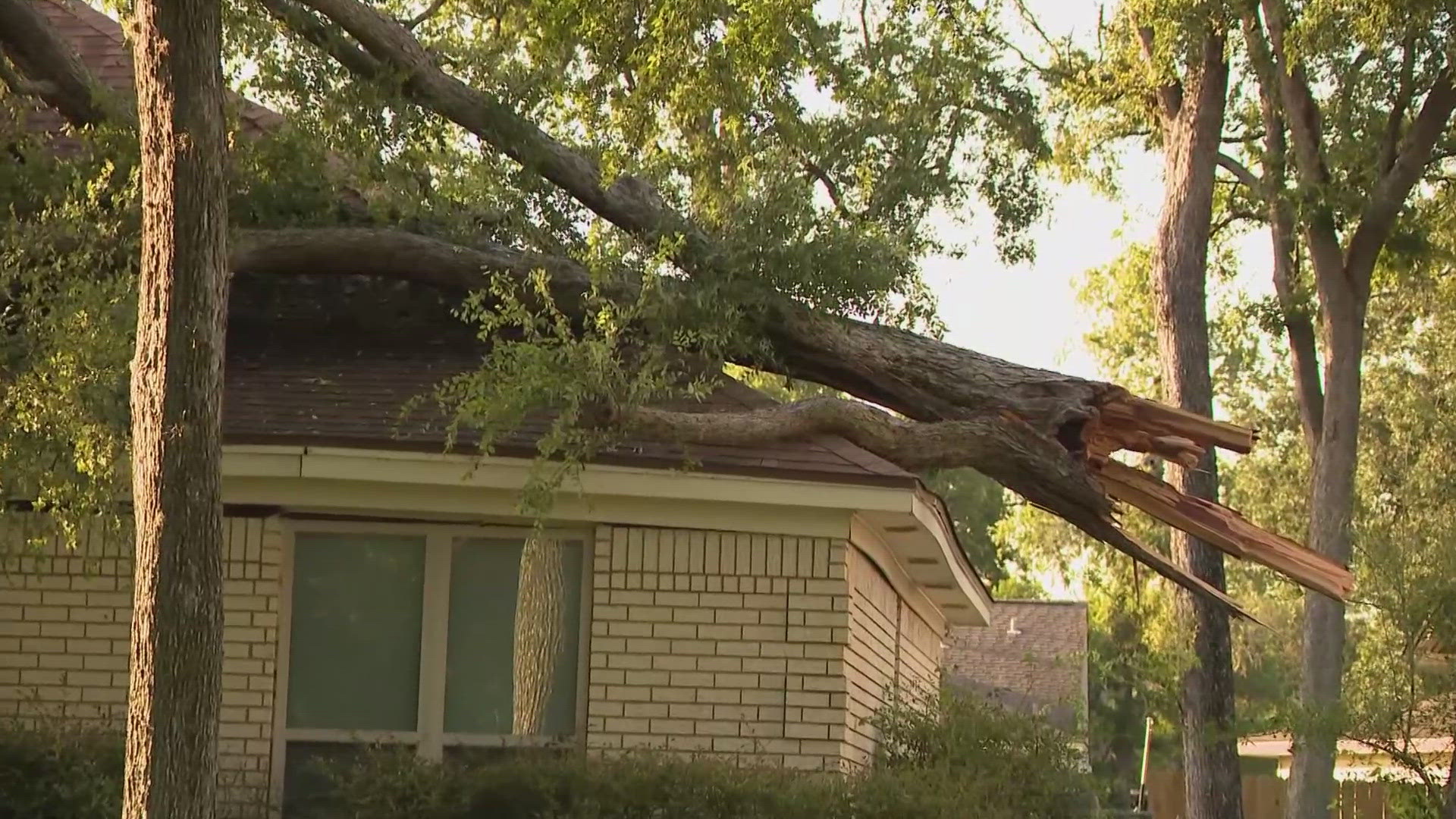 Downed trees, high water and widespread power outages across the county linger through the night.