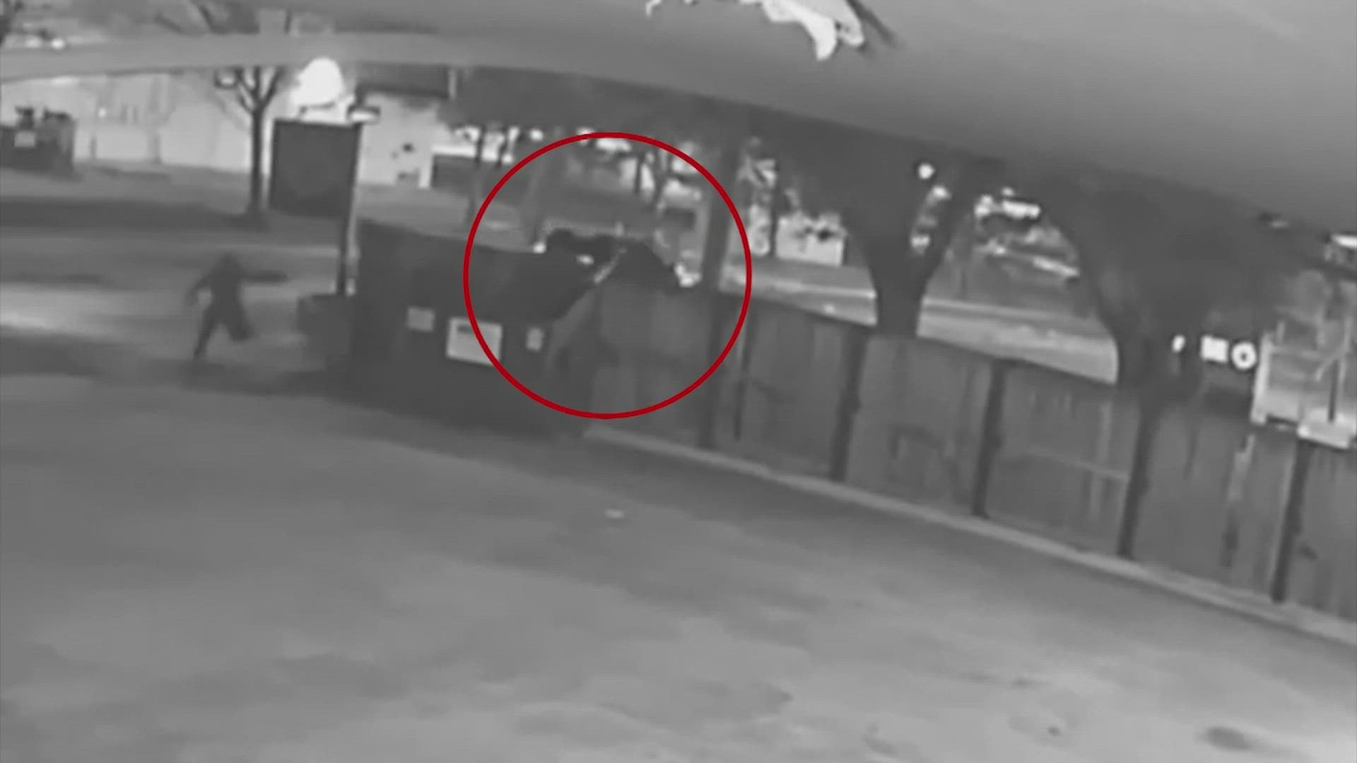 Houston police released a surveillance video that shows the armed robbery that led to a shooting in which 9-year-old Arlene Alvarez was caught in the crossfire.