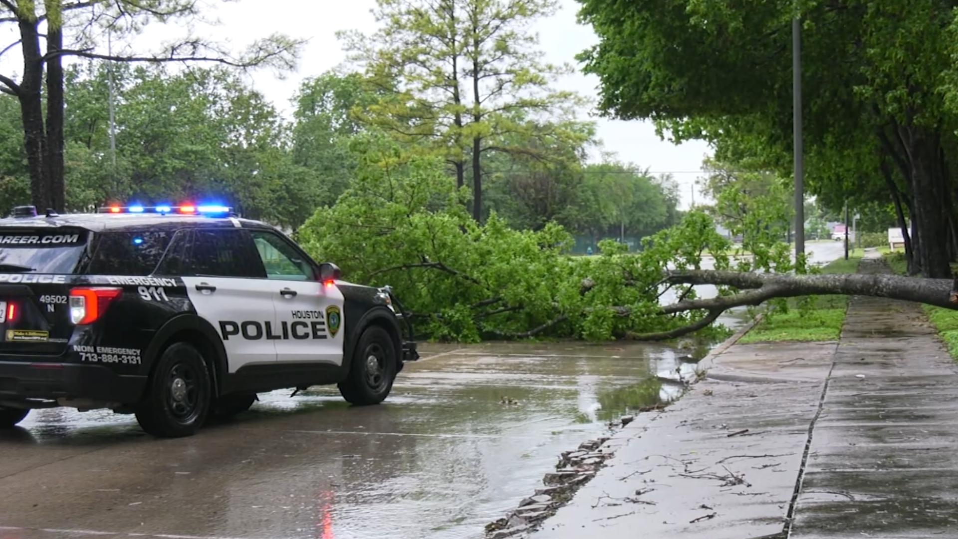 A tree brought down during Sunday morning's thunderstorm was blocking West 43rd St. near Citadel Lane.