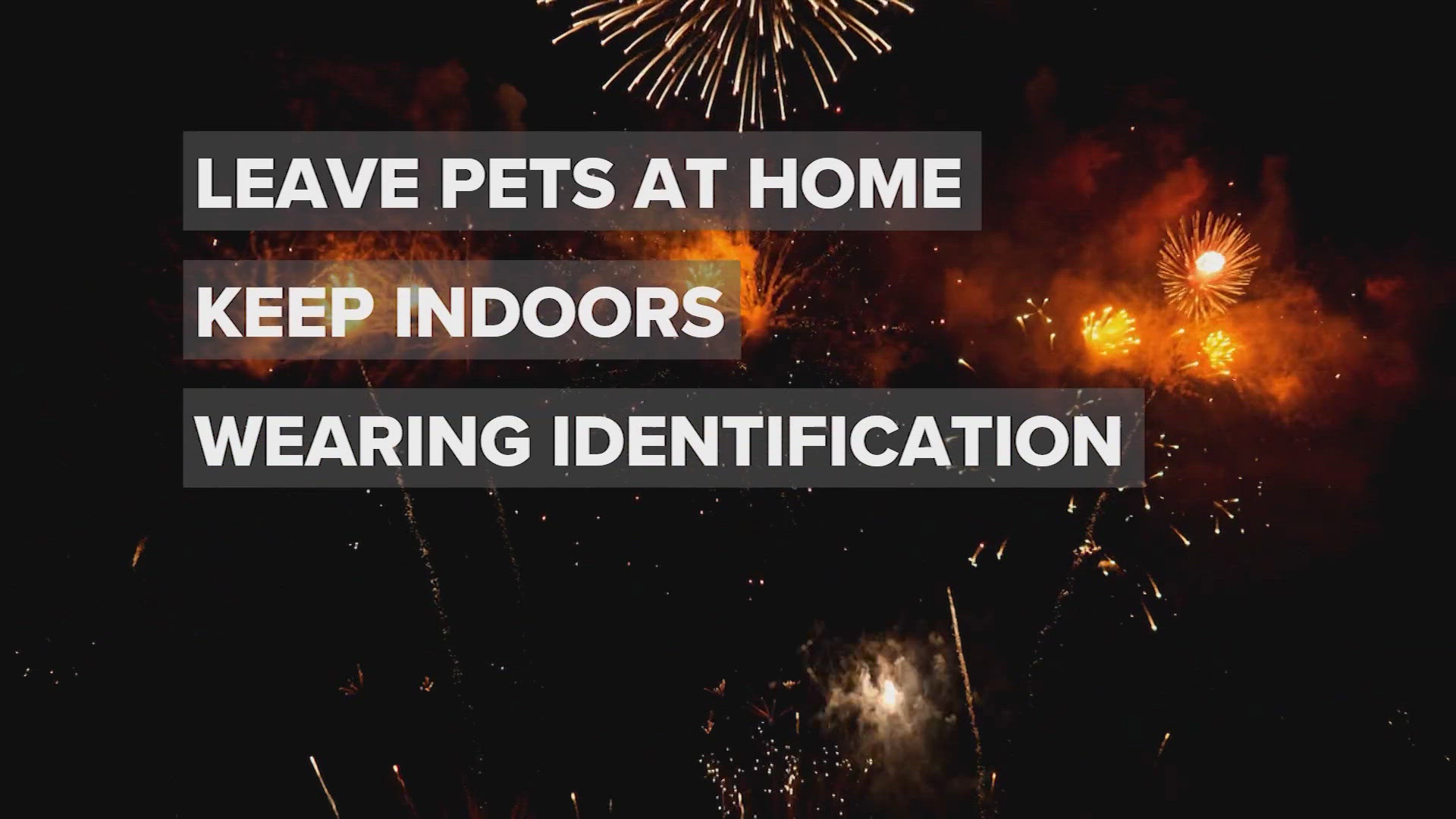 It's not uncommon for pets to get freaked out from loud fireworks or thunder, and some will even run away. There are other dangers to be aware of too.