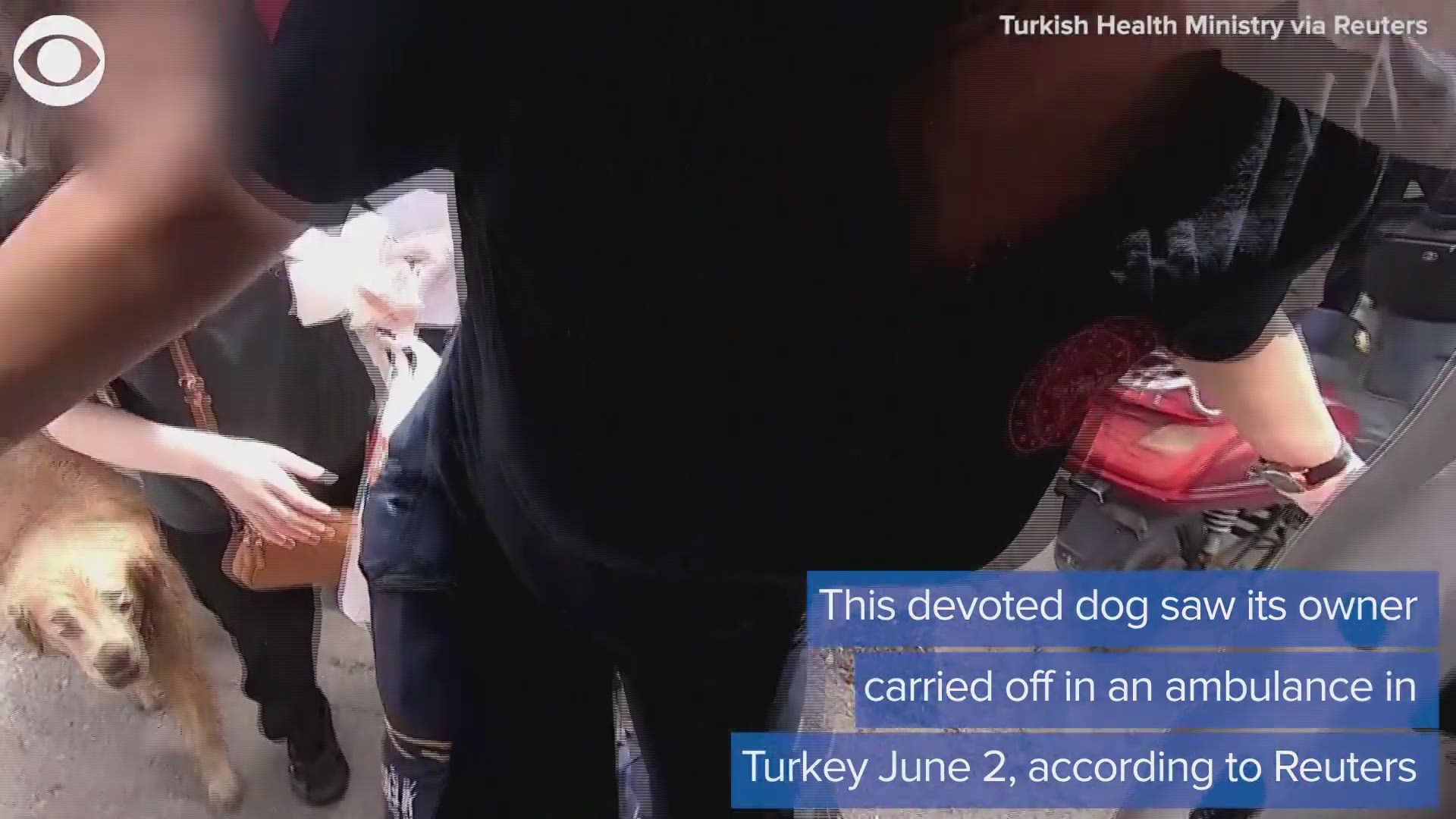 MAN'S BEST FRIEND: Take a look at how one loyal dog proved a pup's love is genuine when his owner was picked up by an ambulance in Turkey