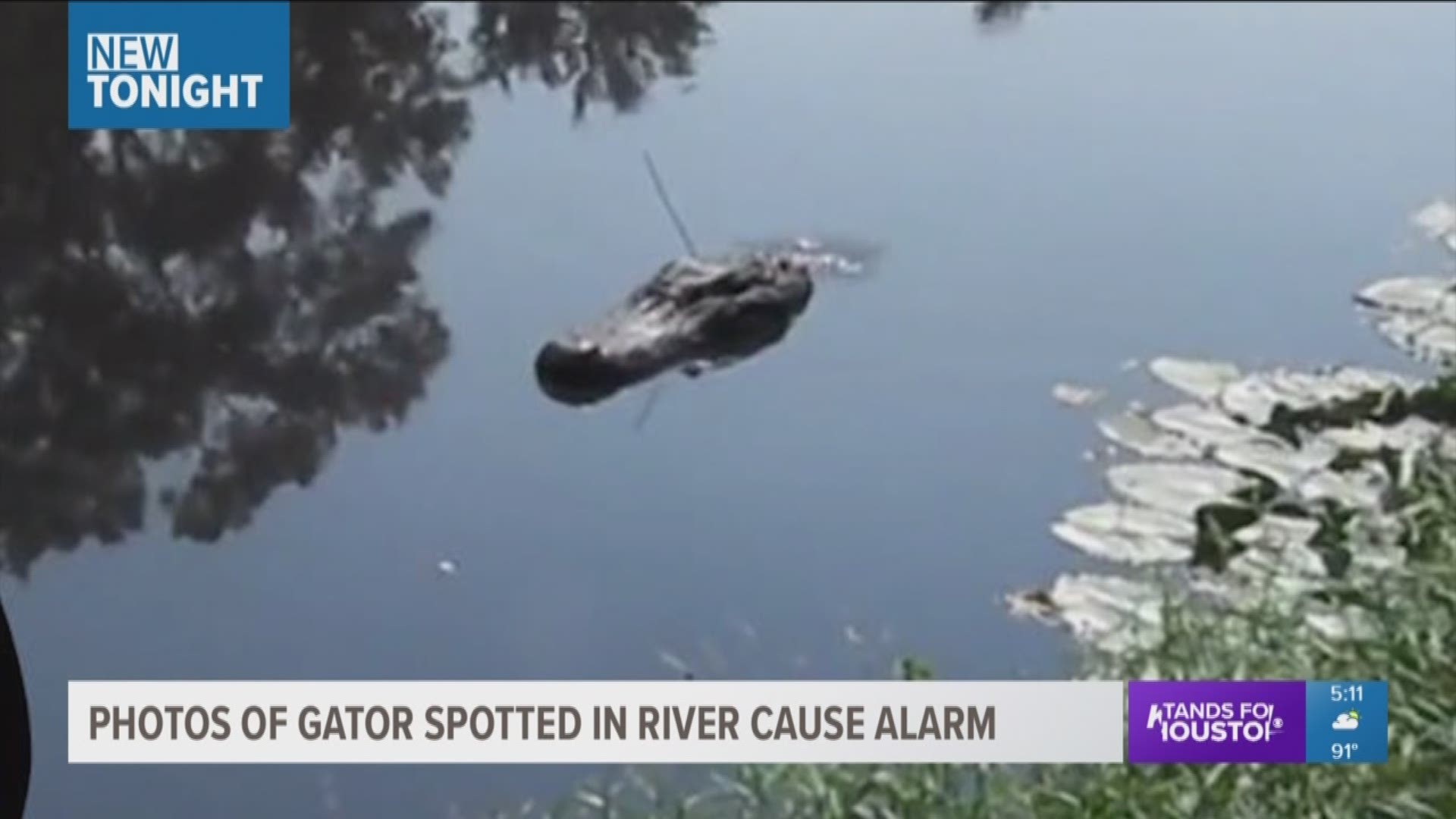 The New Braunfels Police Department took to Facebook Saturday to alleviate any concerns over social media posts that appeared to show an alligator floating in the Comal and Guadalupe Rivers.