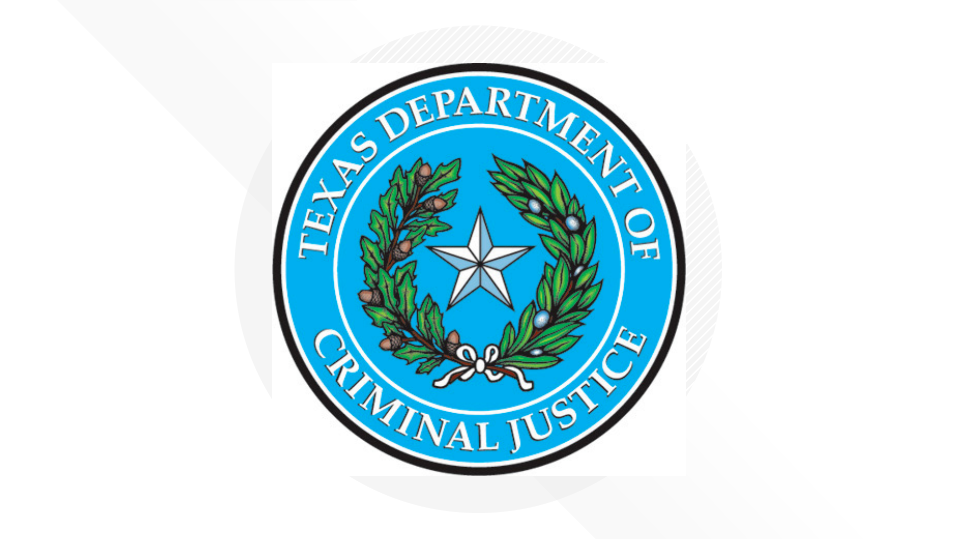 Texas corrections employee found shot to death on Brazoria County ...