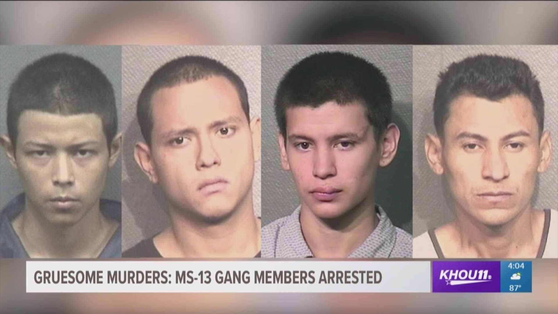 Nine alleged MS-13 gang members have been arrested and charged in connection with several murder cases in Houston, Galveston and Liberty County.