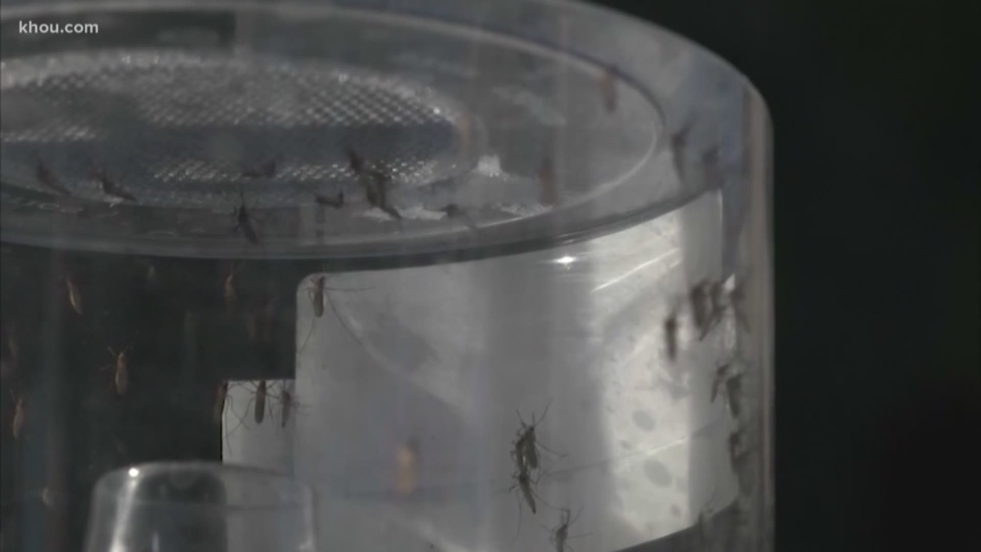 Officials say they have detected the first West Nile positive mosquito in Montgomery County. The county is already preparing to spray the area.