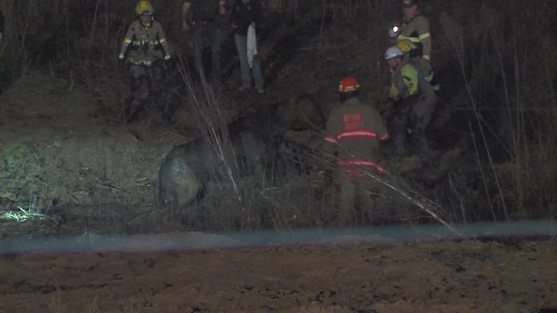 2 horses rescued after trapped in mud pit for hours | khou.com