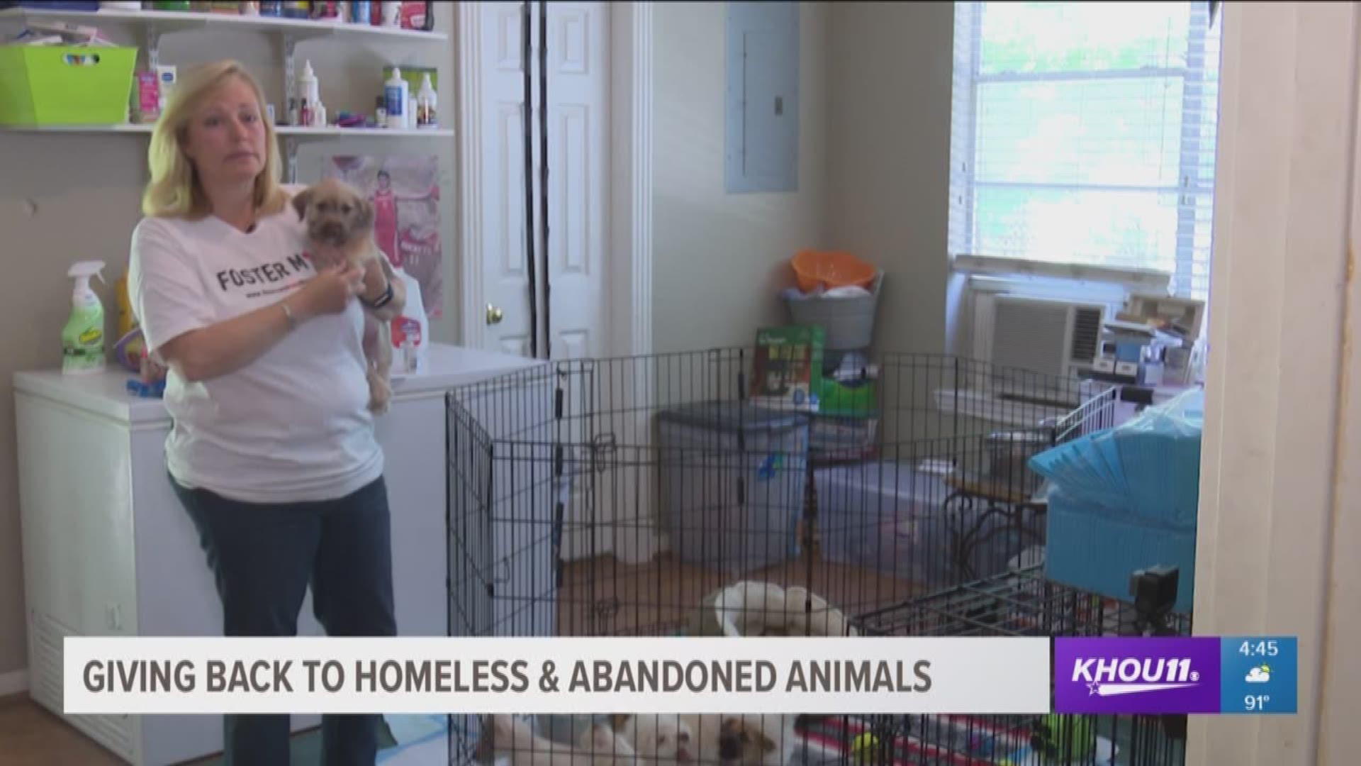 Being a foster parent to animals can be just as rewarding as adopting one. Meet a Houston woman who has been fostering animals for 5 years.