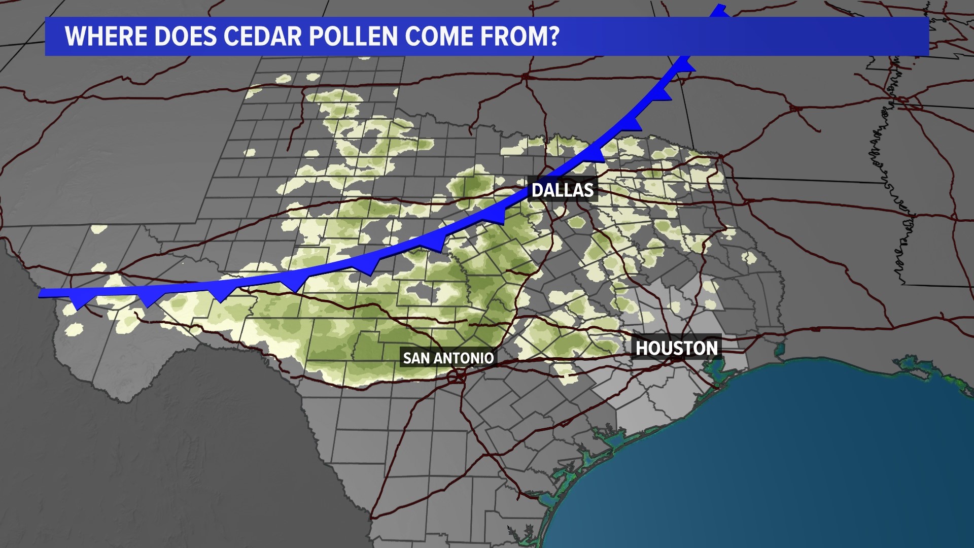 Houston, Southeast Texas cedar pollen spike affecting allergies