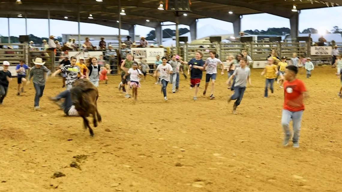 Galveston County Fair and Rodeo underway in Hitchcock