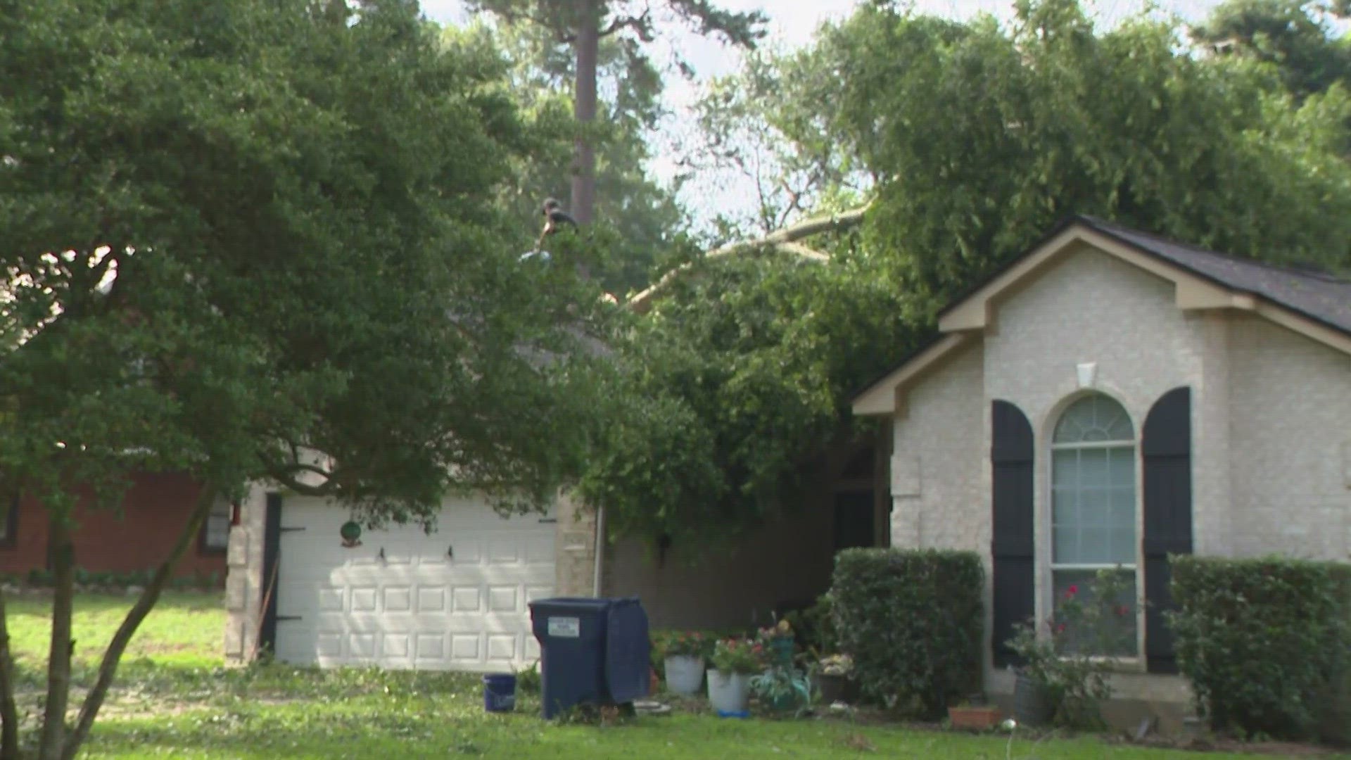 The National Weather Service said a microburst passed through Walker and Montgomery counties, causing a lot of tree damage.