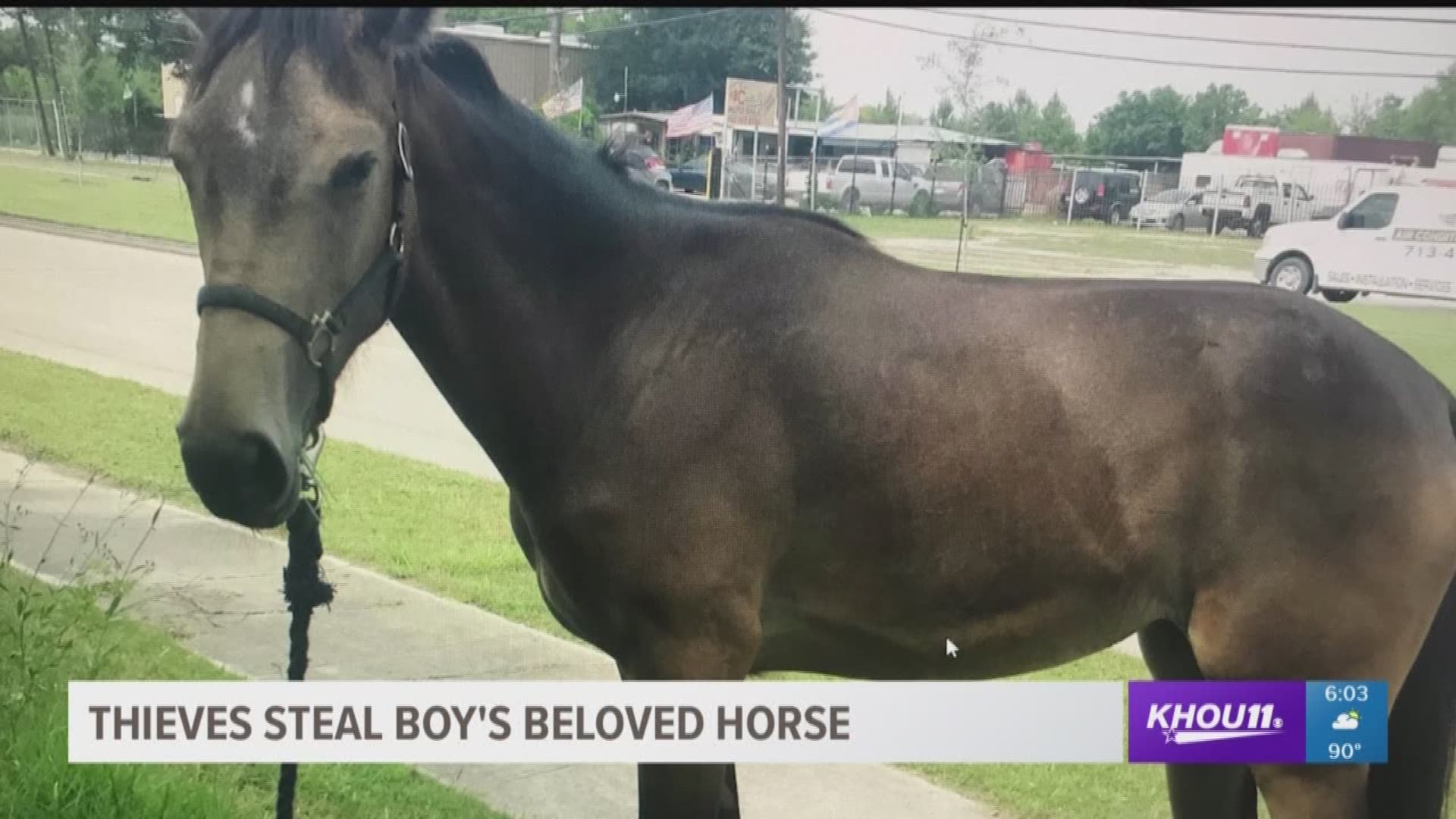 Search on for stolen horse
Mom of murdered woman sues Montgomery county motel
Back to school weather forecast

