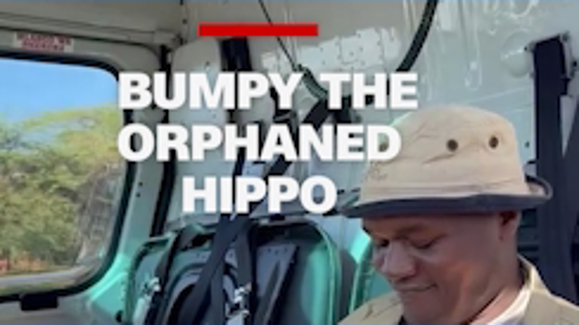 Orphaned Kenyan hippo Bumpy melts hearts with nonstop snuggles | khou.com