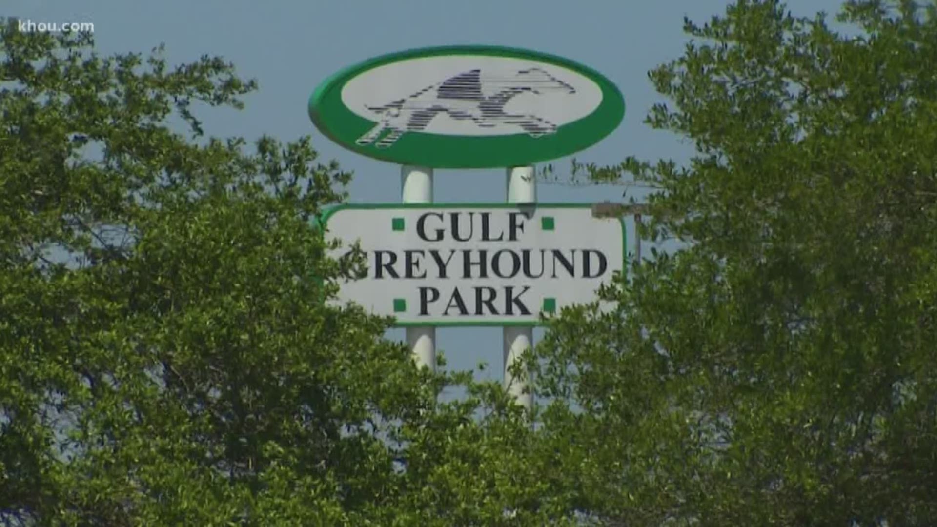 Animal advocates are calling for an investigation into Gulf Greyhound Park in La Marque after discovering injury reports from the track’s 9-week 2018-2019 season.