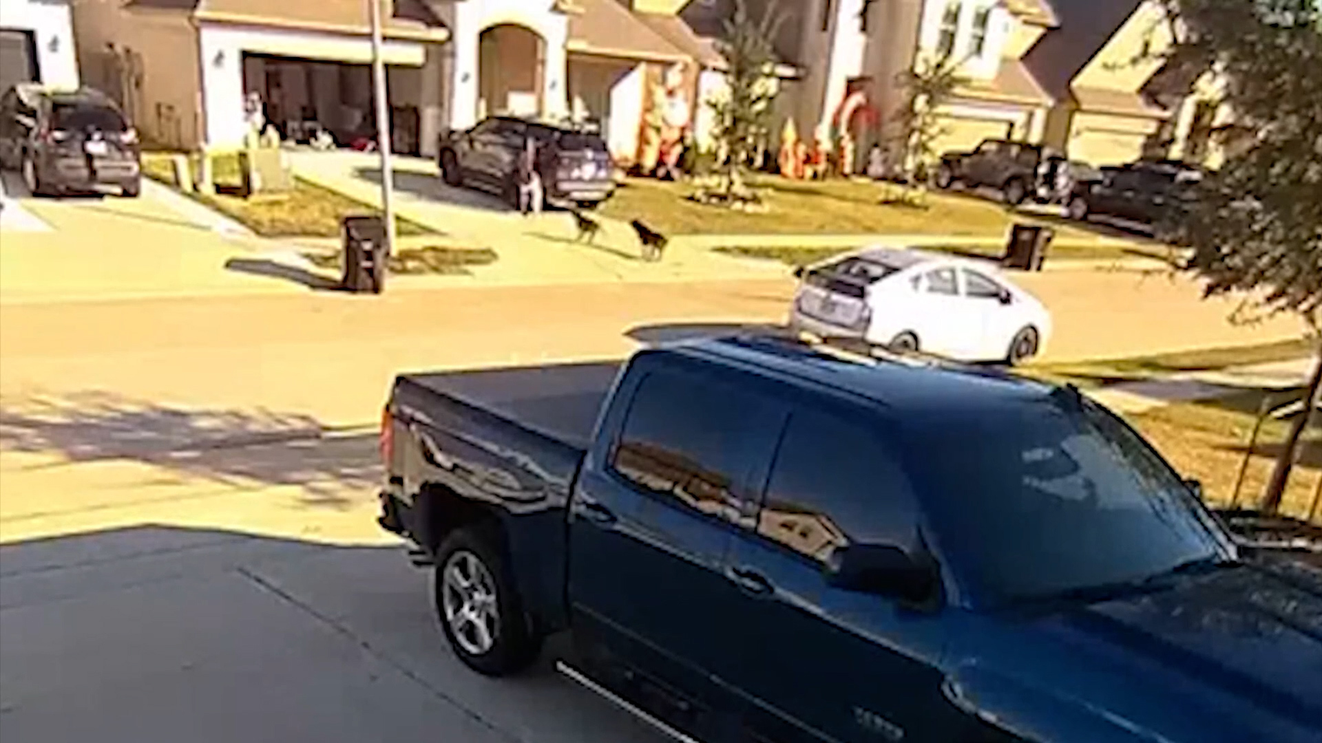 Witnesses tried to save man killed in dog attack at Katy park; woman ...