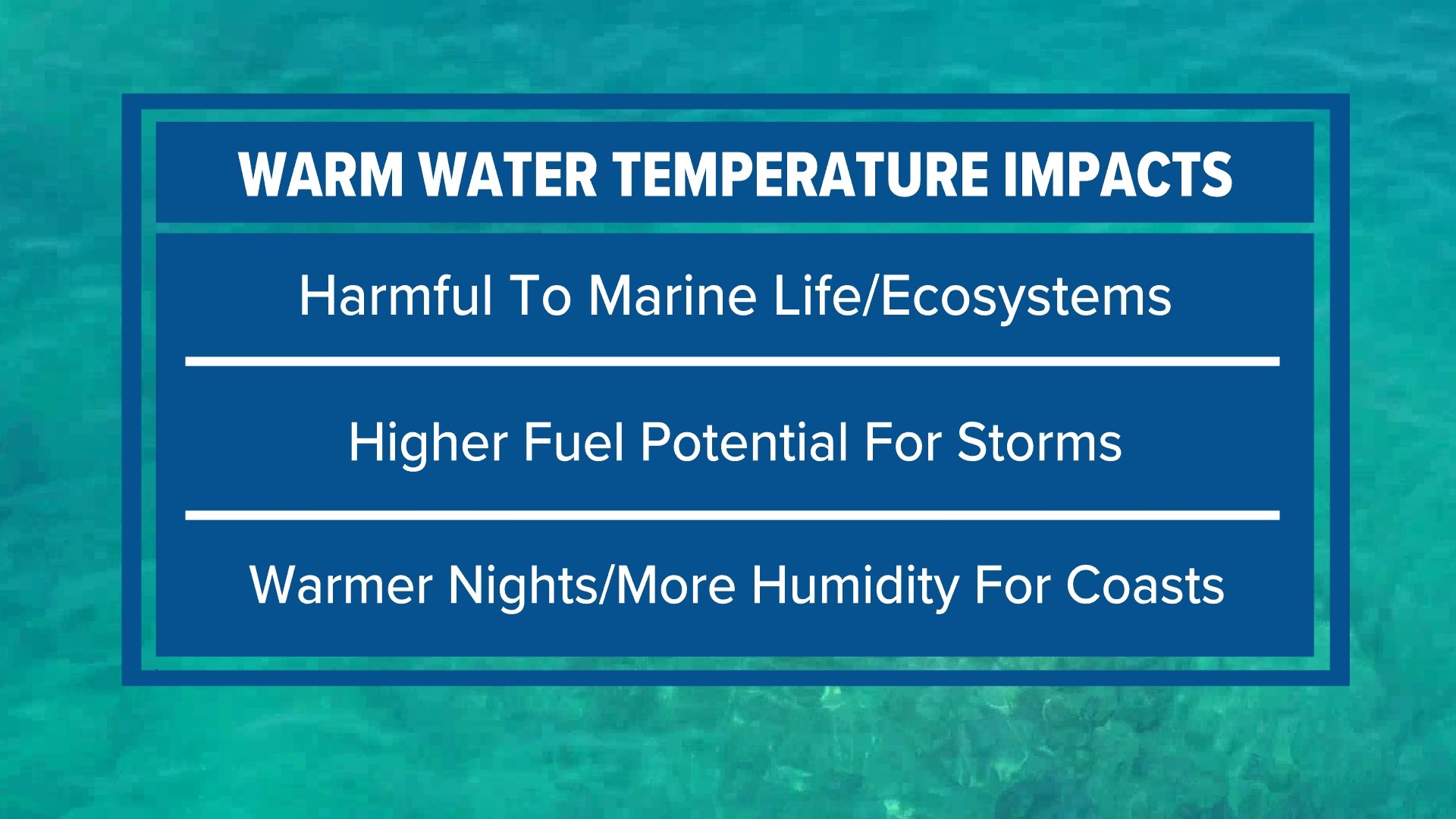 On Monday, temperature sensors recorded water temperatures over 100 degrees in the Florida Keys.