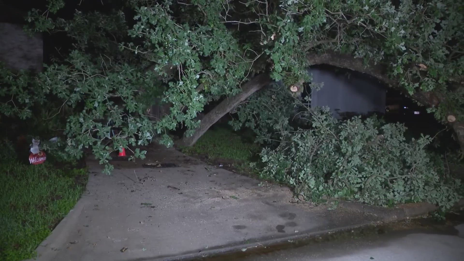 Neighbors told us that even though the ground was saturated, the trees seemed fine until they came crashing down overnight.