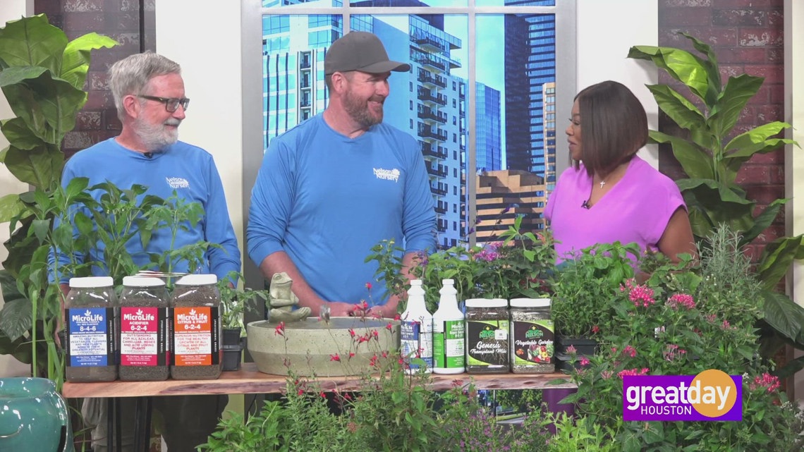 Peter Nelson with Nelson Nursery & Water Gardens shows how to prep beds and plant cool-season veggies for a thriving fall harvest in Houston.