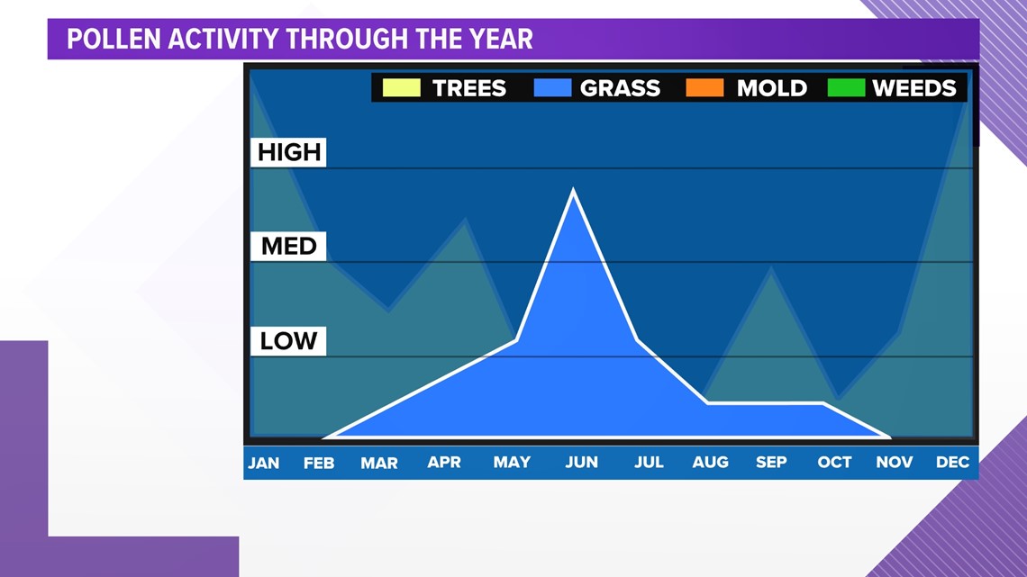 Houston ranked number 12 for worst allergies