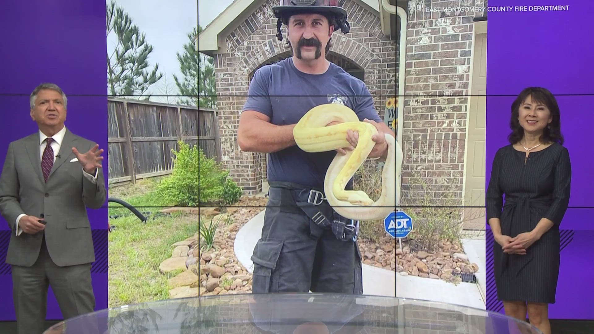 The East Montgomery Fire Department was called to a house fire where they had to rescue 20 snakes, lizards, tarantulas and a crocodile.