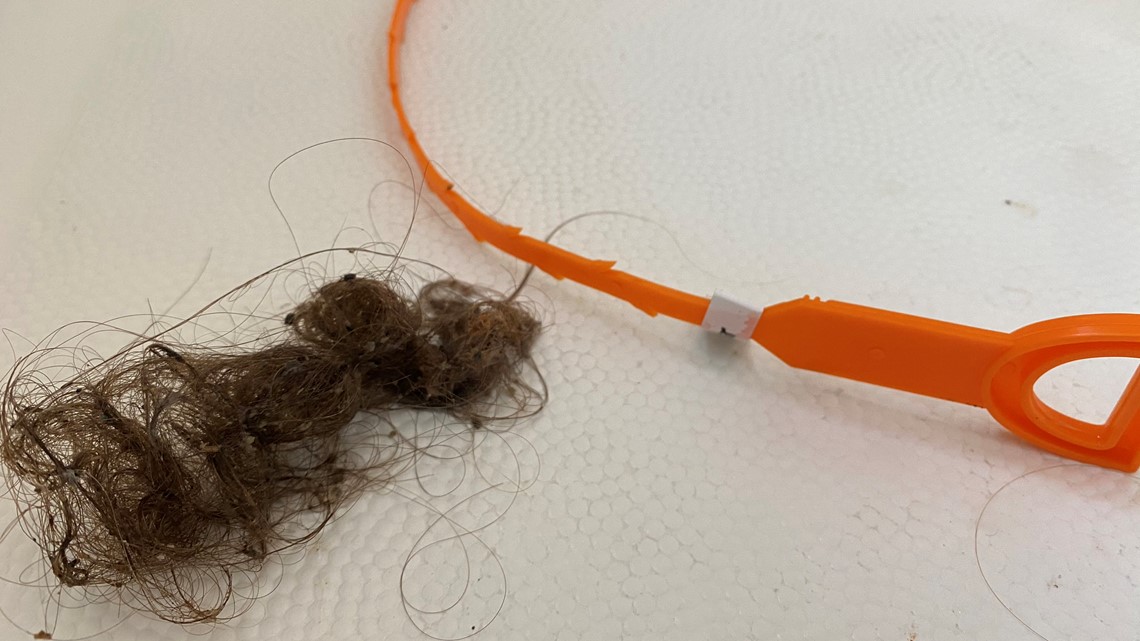Shoppers Love Vastar's Drain Snake Hair-Removing Tool for Clogged