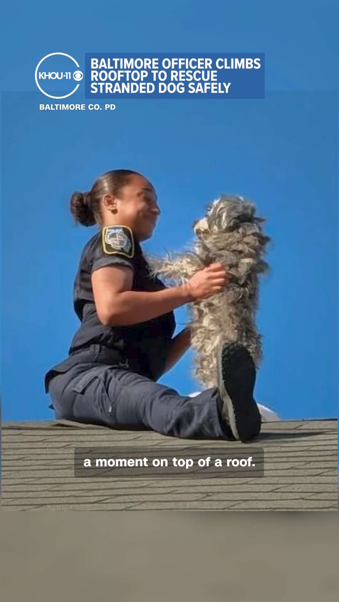 Baltimore Officer Climbs Rooftop To Rescue Stranded Dog Safely. | khou.com