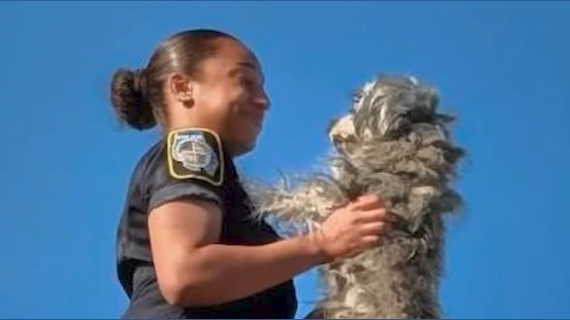 Baltimore Officer Climbs Rooftop To Rescue Stranded Dog Safely. | khou.com