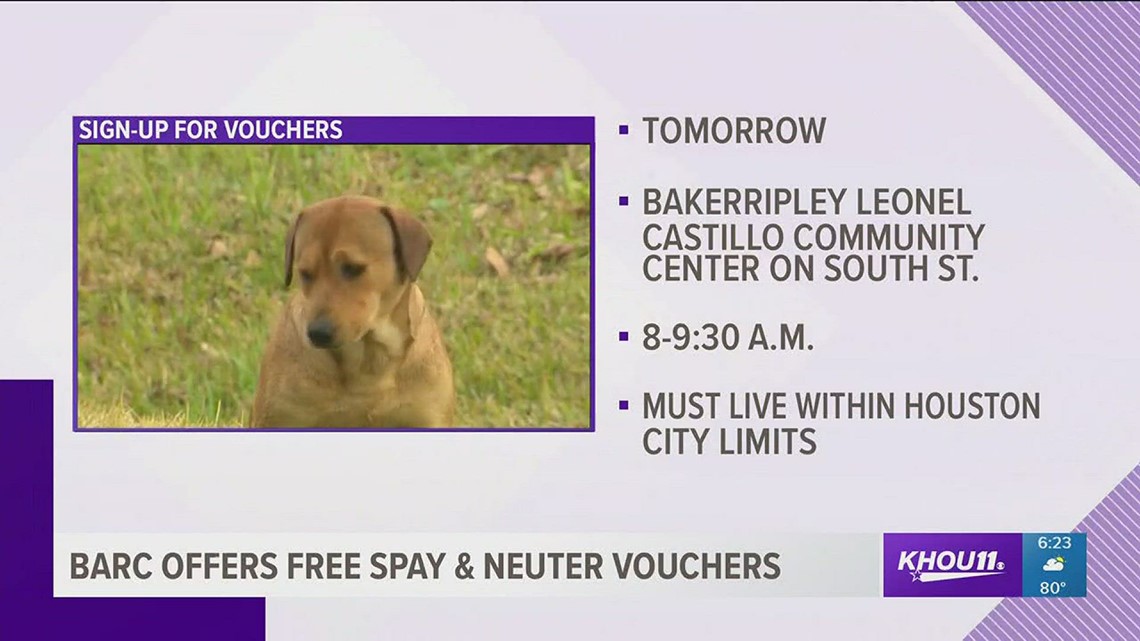 BARC offers free spay and neuter vouchers