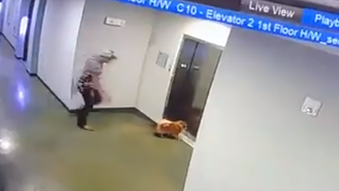 Houston man rescues dog from possible elevator disaster
