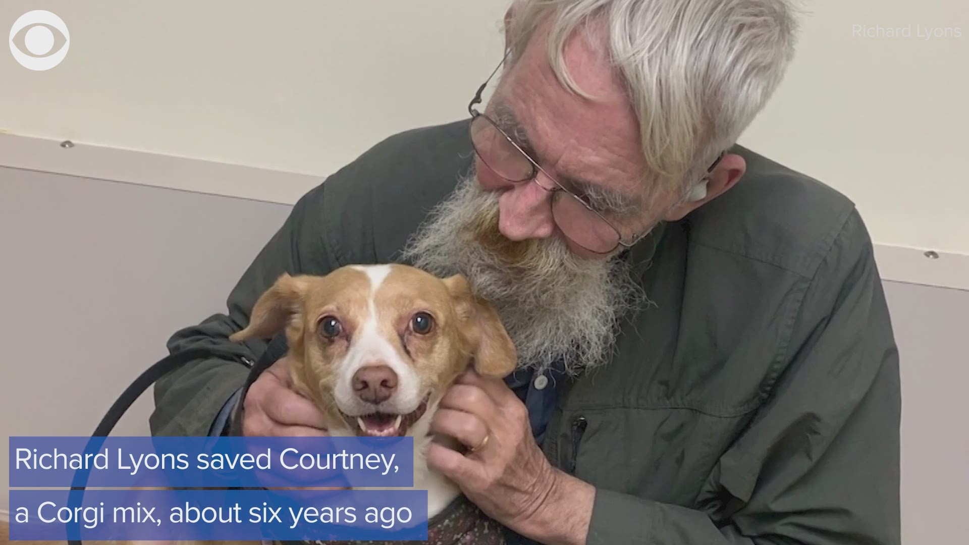 When a Vietnam veteran's dog needed surgery, "The Street Vet" stepped in to help cover the cost.