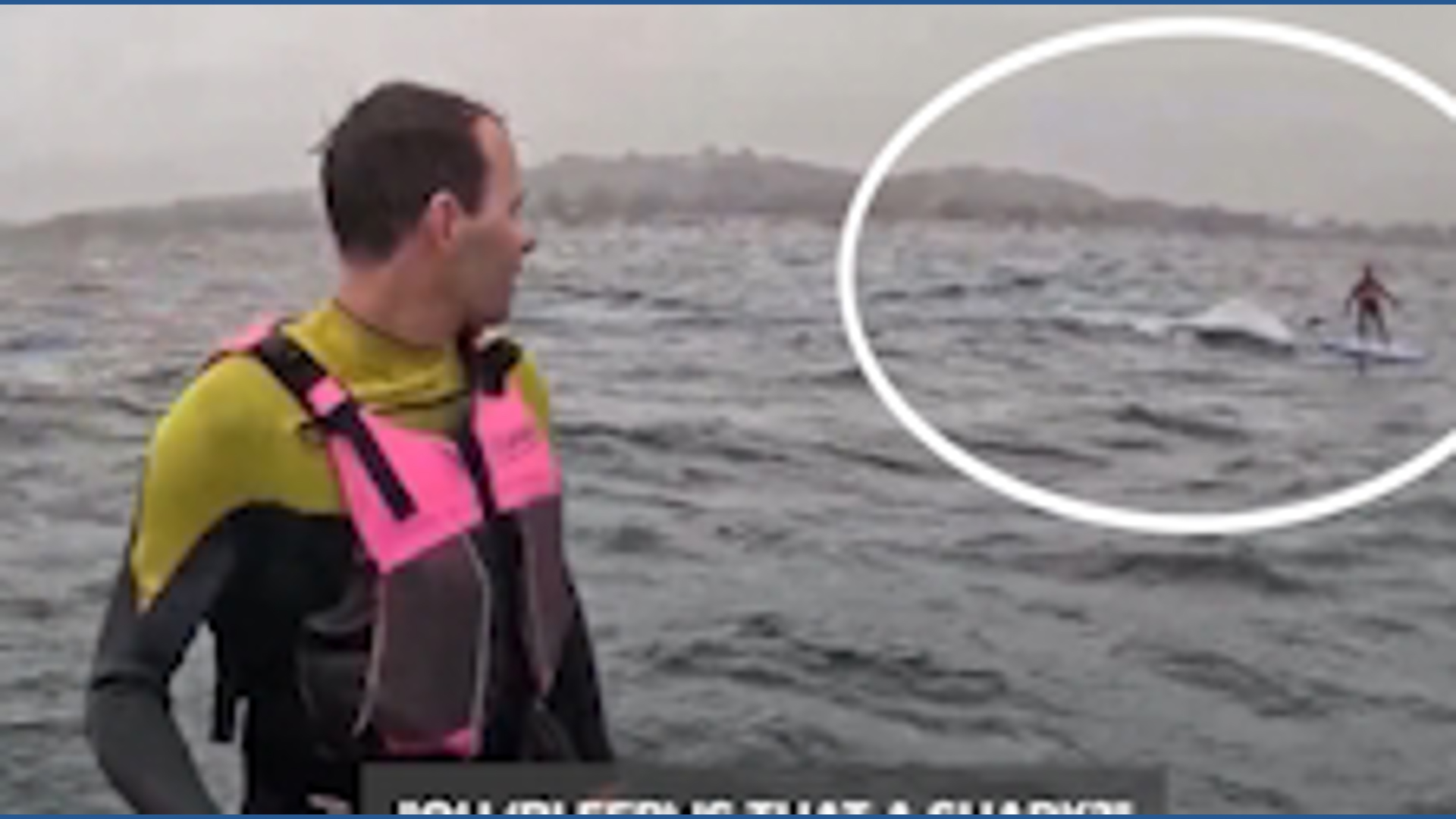 Santa Barbara CA surfer chased by shark for 10 minutes | khou.com