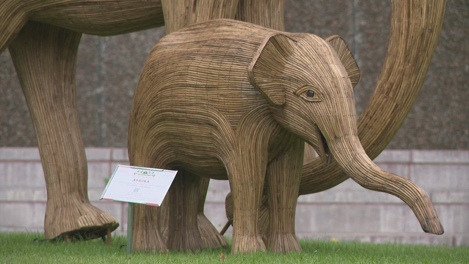 The giant elephants created by Indigenous artists in India are traveling the world and H-Town is the only stop in Texas and one of only seven U.S. cities. 