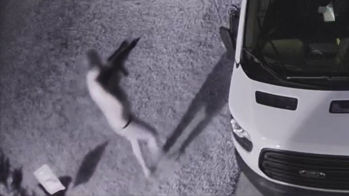 Homeowner with AR-15 confronts car thieves in Cypress - Vimarsana News