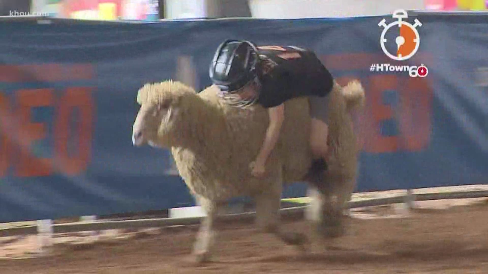 What's your favorite rodeo event? Bull riding? Calf scramble? How about mutton bustin?
