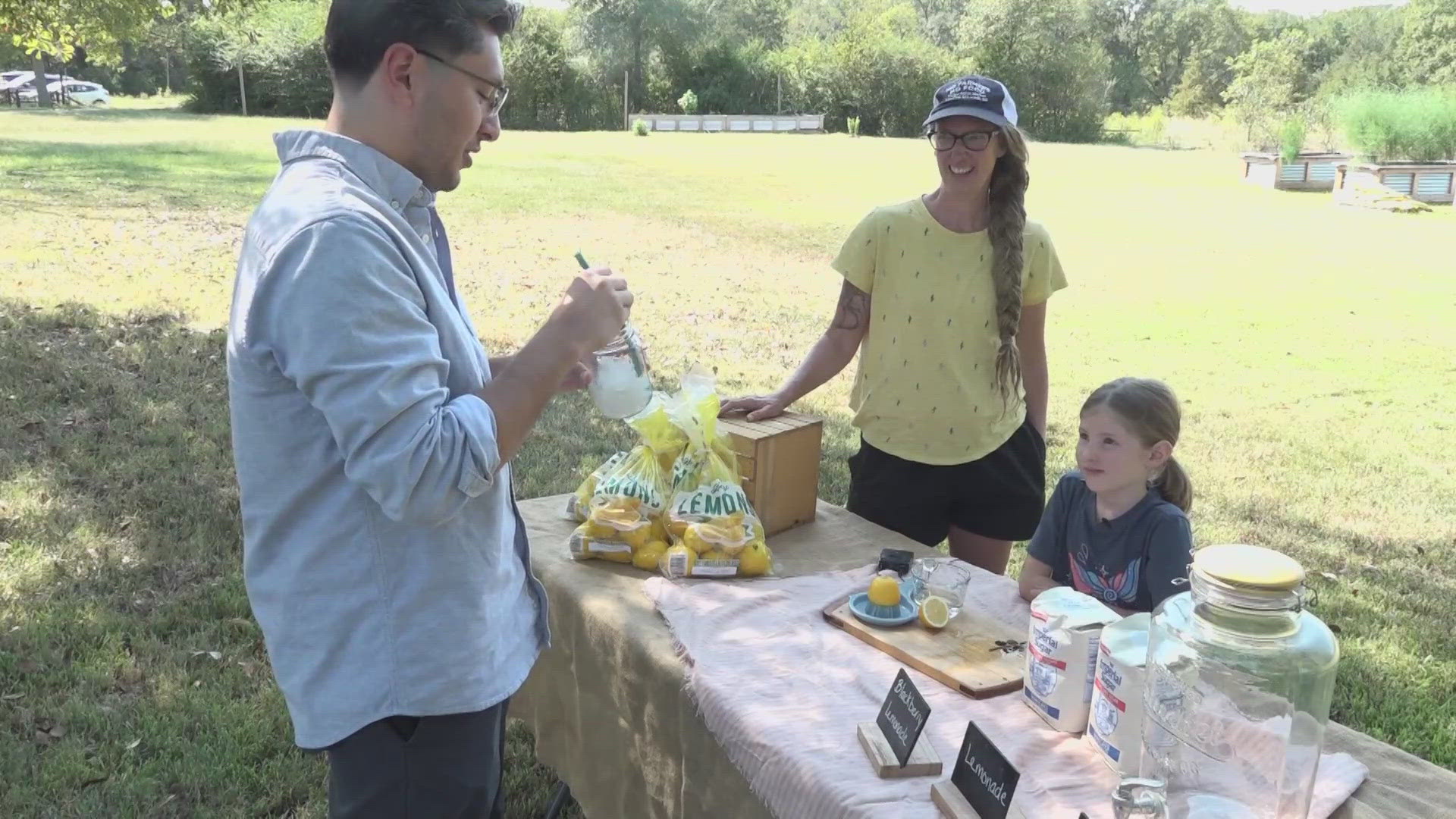 They brainstormed ideas and came up with the idea for a lemonade stand.