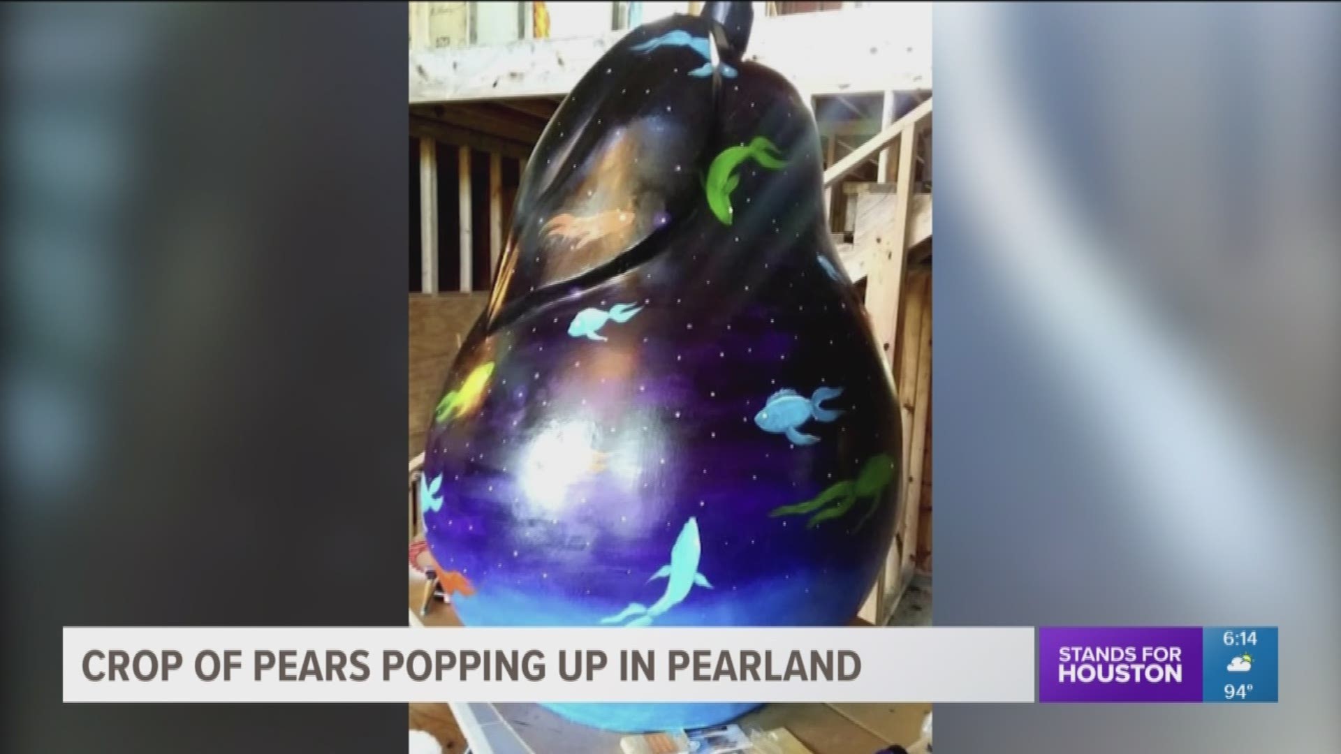 The community of Pearland lost many of its pear orchards during the great Galveston hurricane in 1900, but now there's a new crop of pears popping up and they are becoming special works of art.