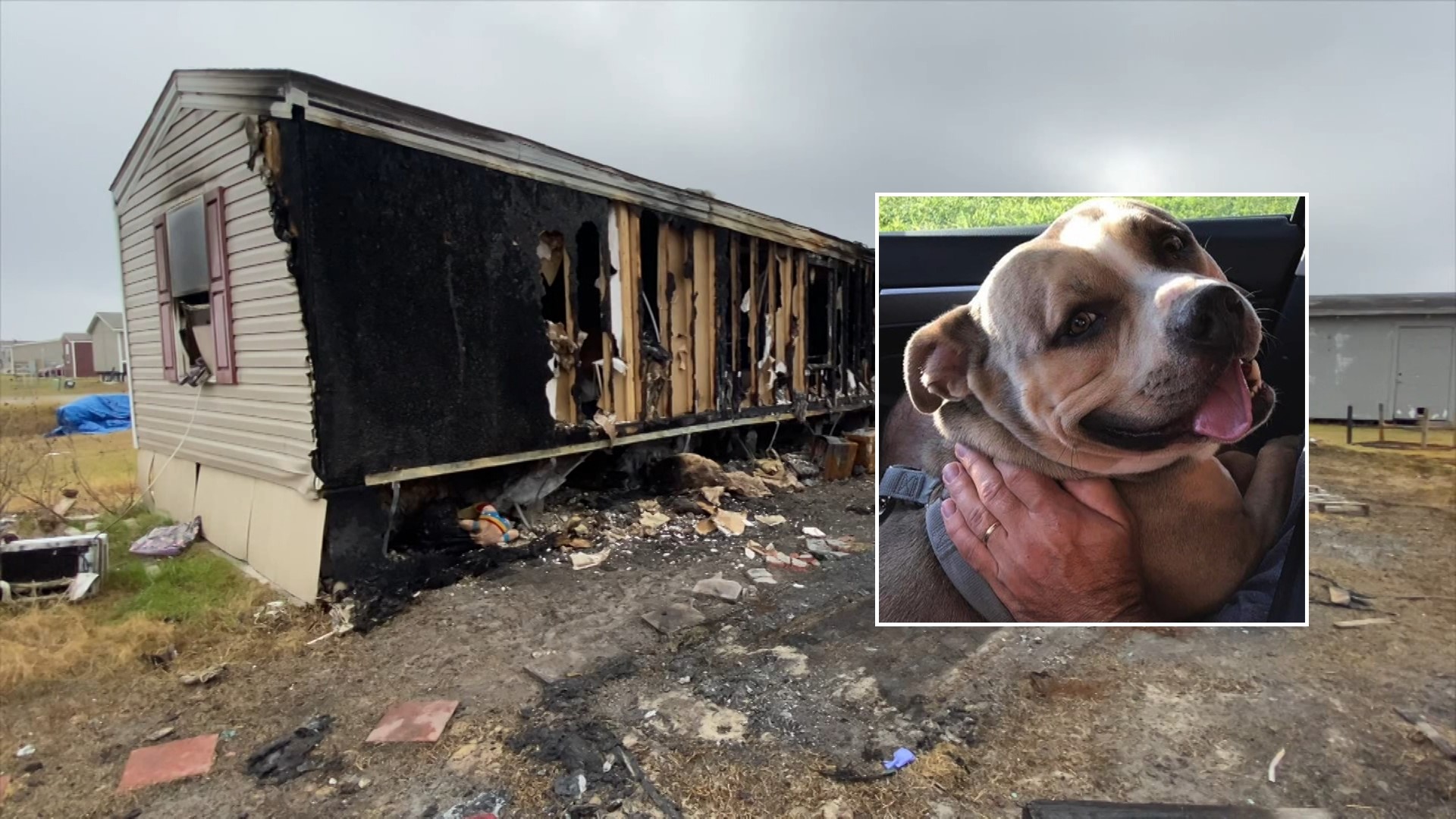 The family says they lost seven dogs in the fire, but saved four. The actions of their pit bull, Ollie, prevented the loss from being even greater.
