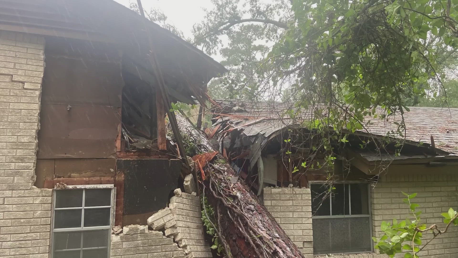 Due to an insurance mishap, Phyllis Yankey's coverage lapsed right when Beryl hit and knocked a tree onto her dream house.