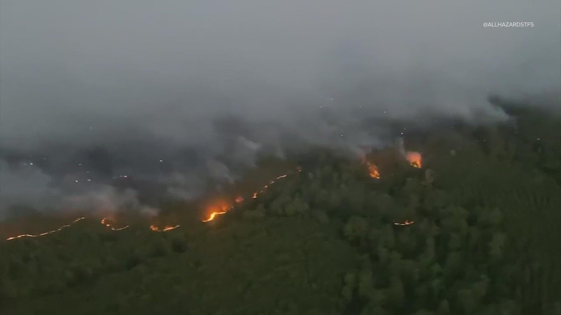 Pembaruan kebakaran hutan Texas: Nelson Creek Fire membakar di dekat Huntsville