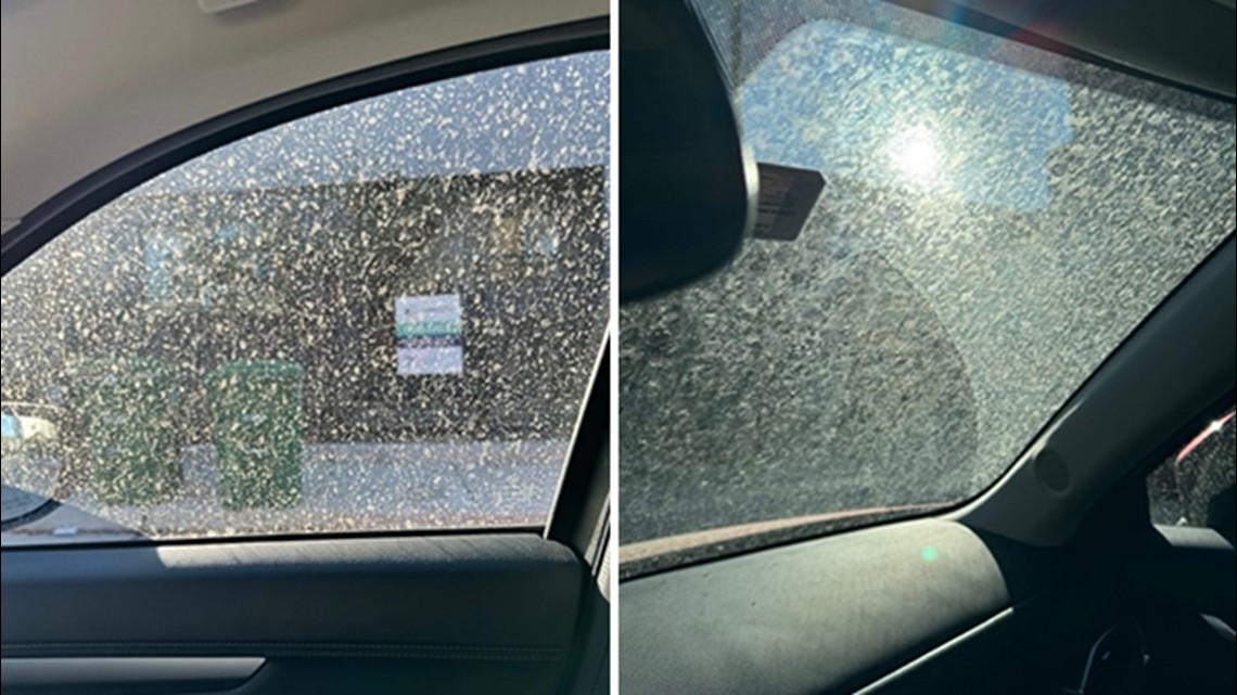 Why was there dirt on cars in Houston after Monday's storms? - Vimarsana News