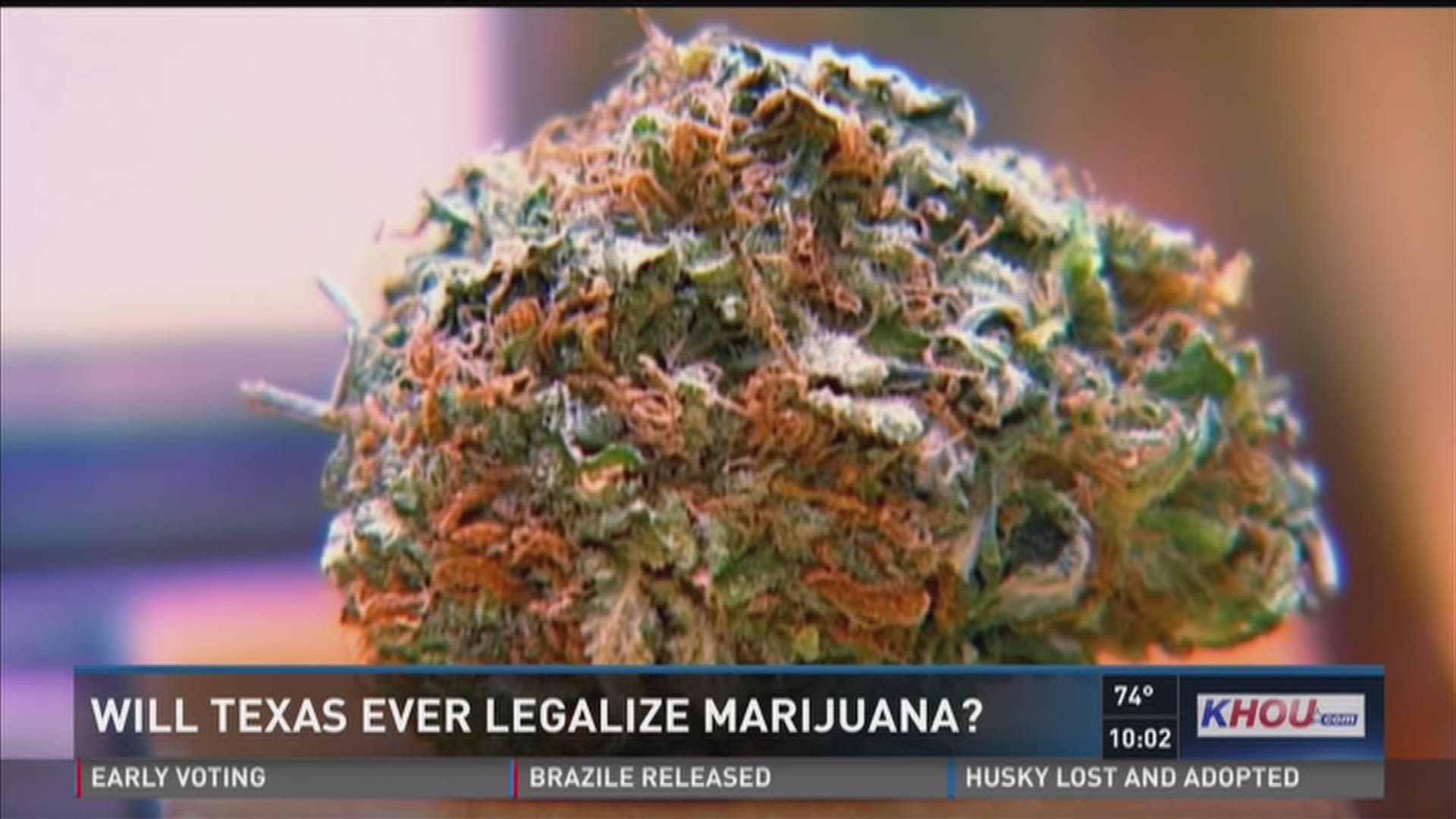 Will Texas legalize marijuana?