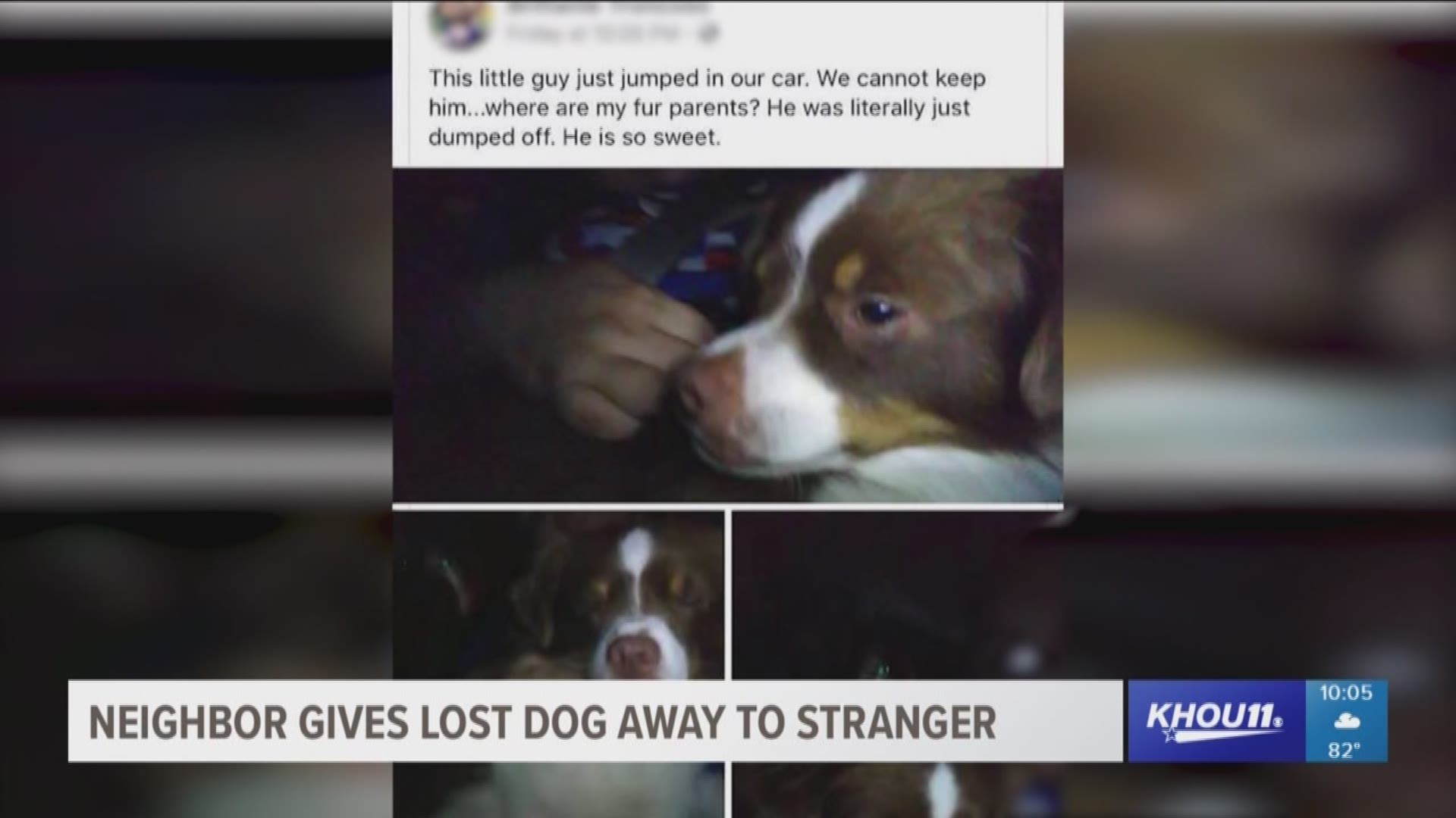 An Alvin family has been searching for their two dogs since last week after the pups were scared off by fireworks. Come to find out, someone did find one of them but gave her away to a stranger.