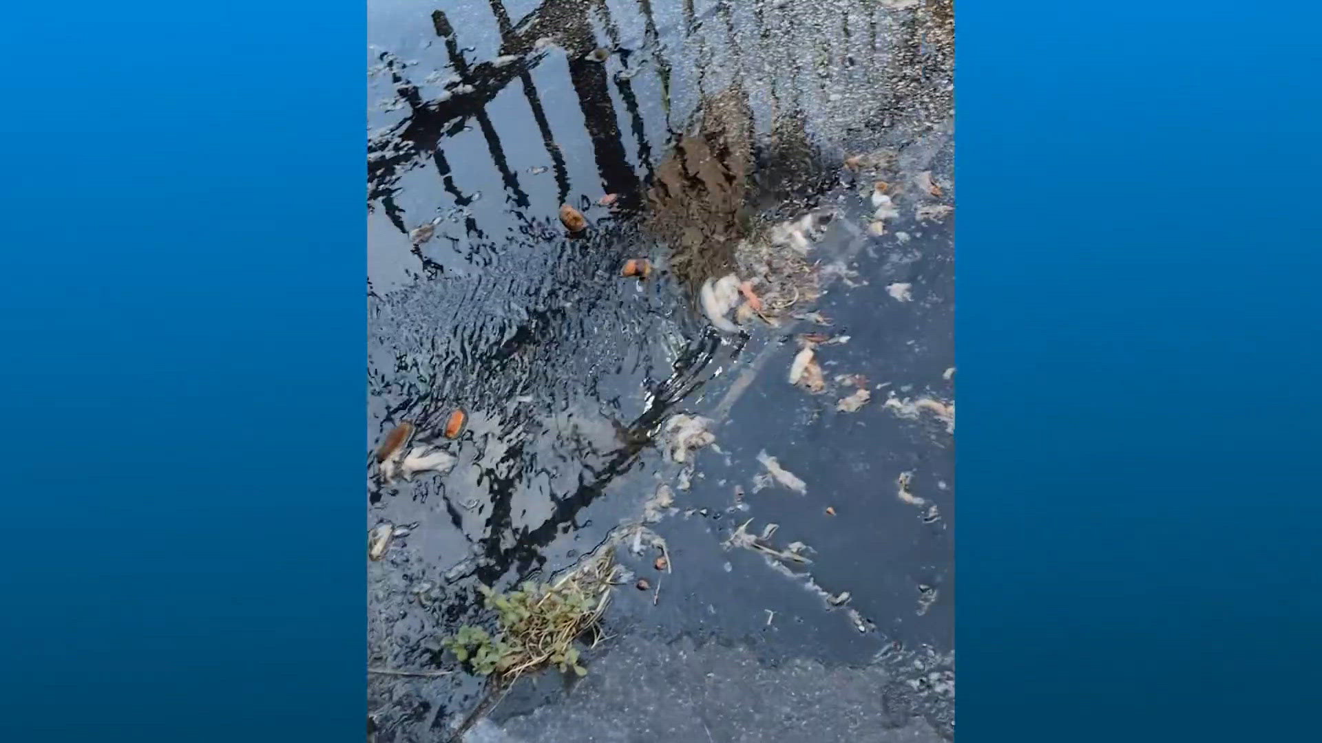 West Houston apartment residents raise concerns over recurring sewage ...