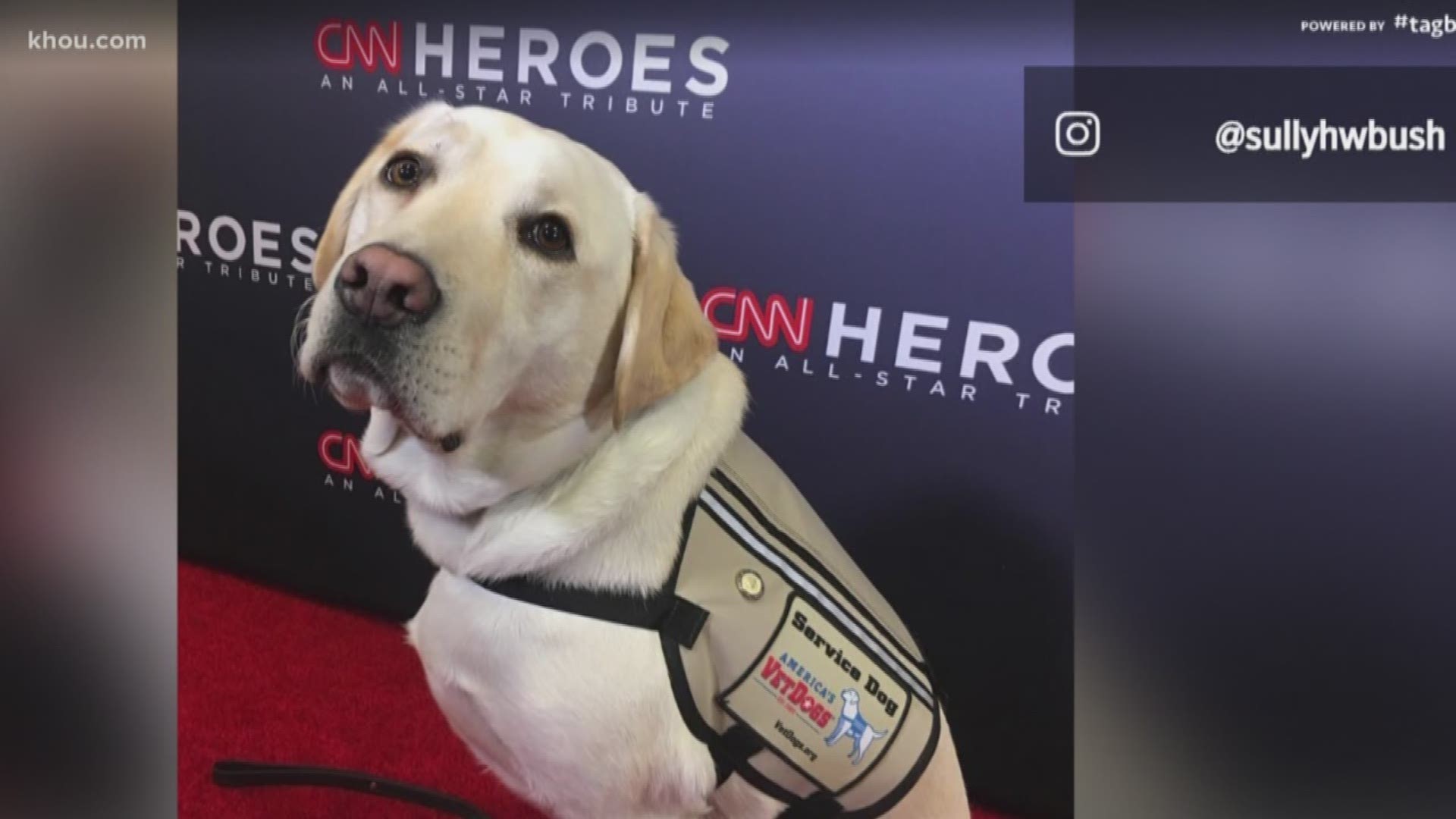 Sully Bush honored George H.W. Bush one more time during the CNN Hero Awards Sunday night. CNN anchor Anderson Cooper welcomed Sully on stage and thanked him for his service to the former president.