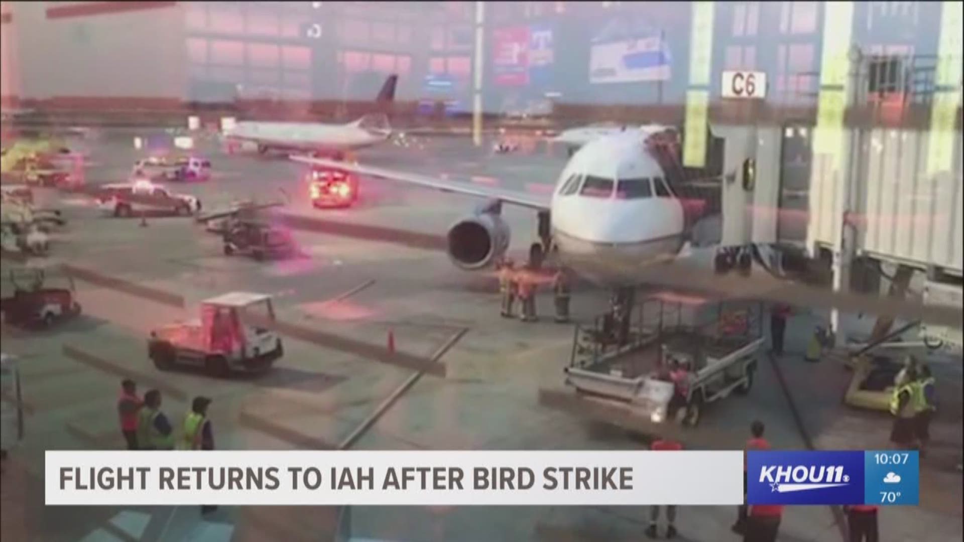 A United flight has safely returned to Houston after the plane hit a bird just after take off. 