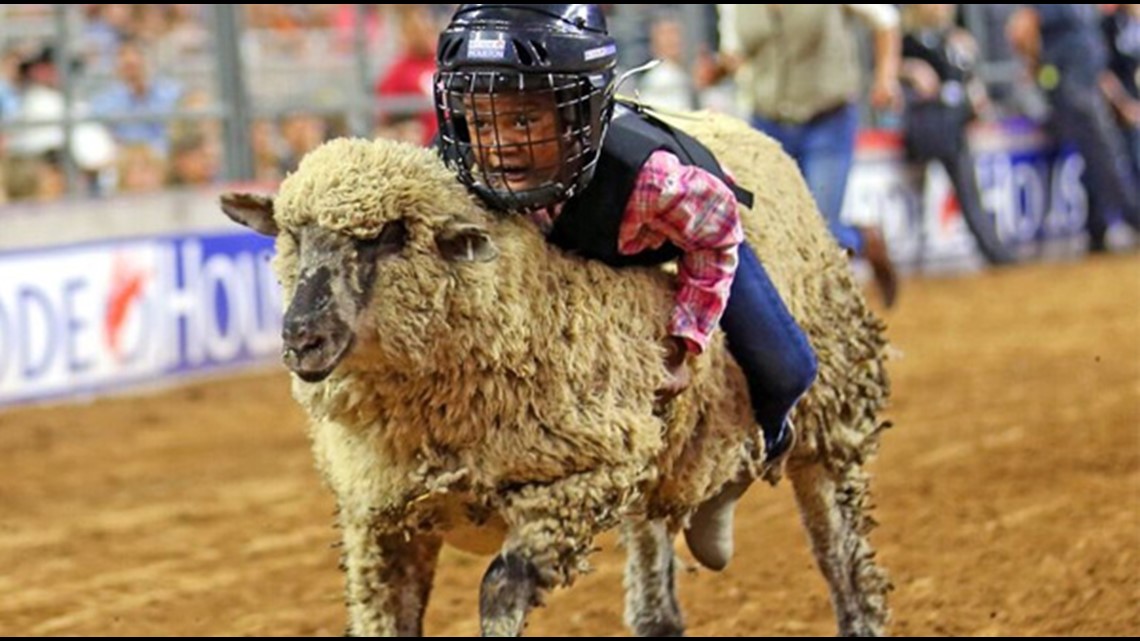 Bagaimana anak Anda dapat mengambil bagian dalam penggerebekan daging kambing di rodeo