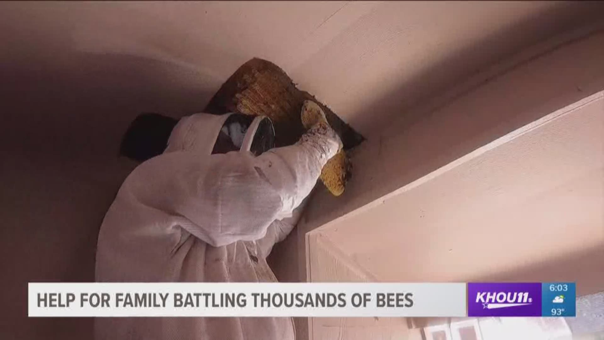 Approximately 80,000 bees were living inside one family's home. They removed the hives and 60 pounds of honeycomb. It was so bad, honey was oozing from the vents.