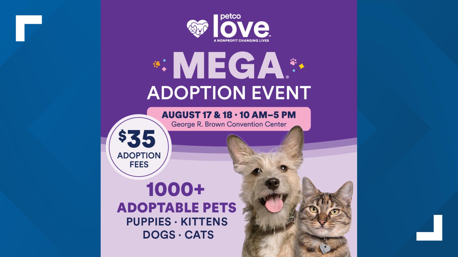 Mega Adoption Event with 1,000+ pets in Houston on Aug. 17-18 | khou.com