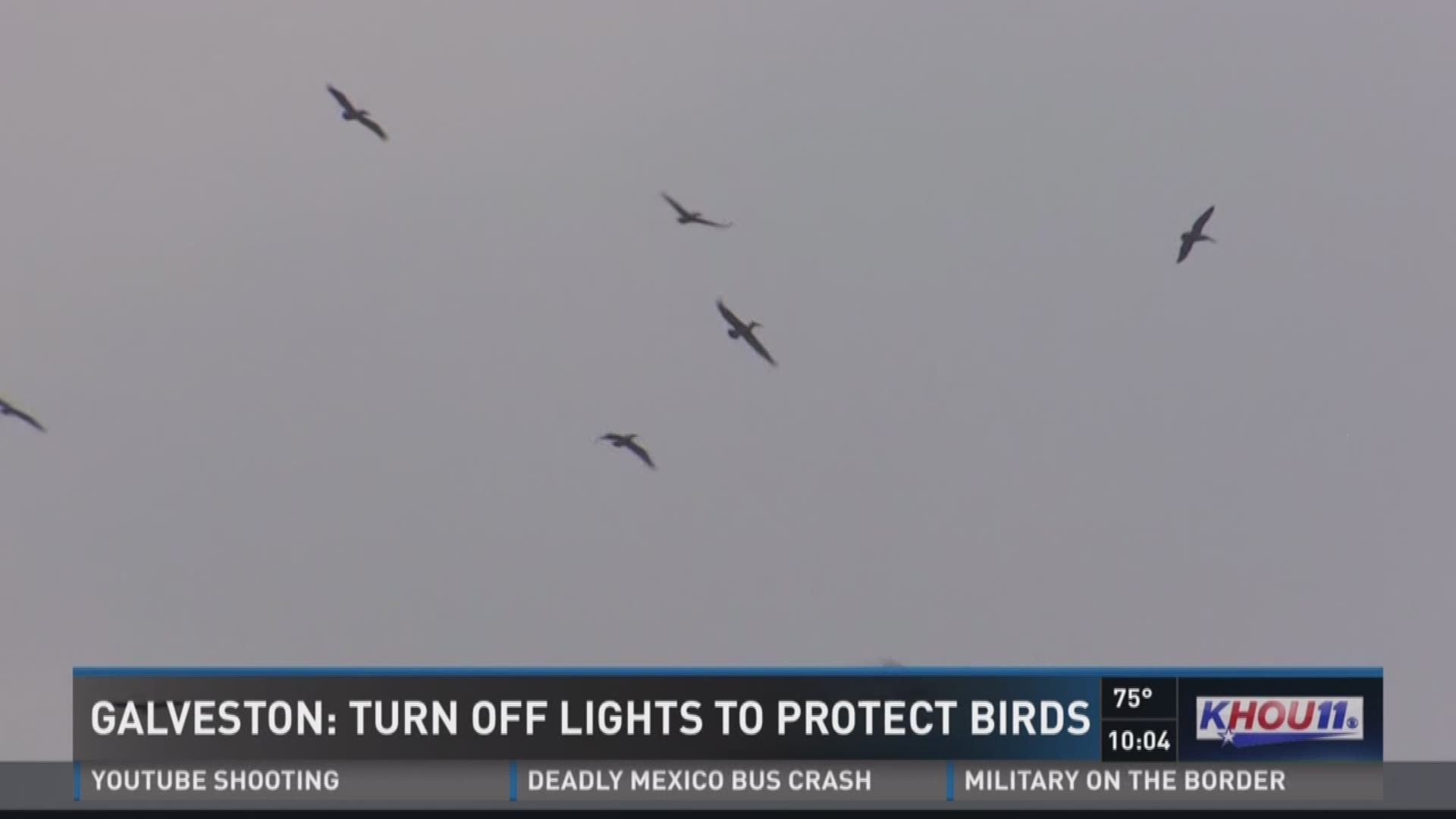 Galveston County officials are asking some residents and businesses to turn off or block out their lights on Tuesday and Wednesday nights, to help protect migrating birds. 